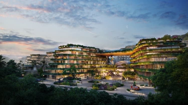 Layan Verde main view