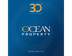 Ocean Property