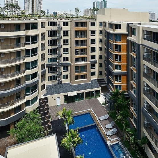 Siamese Nang Linchee main view