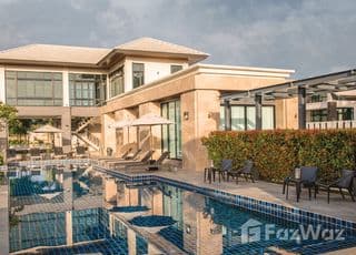 Patta Prime main image Patta Prime main image