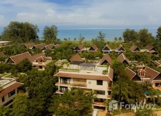 Maan Tawan main image Maan Tawan main image