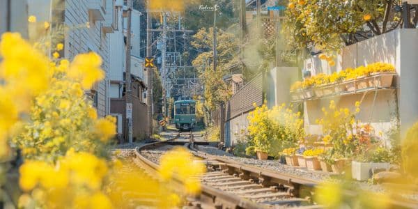 ภาพพื้นหลัง Second Home อสังหาฯ บ้านและคอนโด ภาพพื้นหลัง Second Home อสังหาฯ บ้านและคอนโด