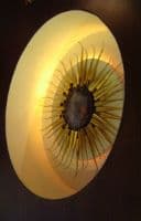 Chakhriya CNX logo Chakhriya CNX logo