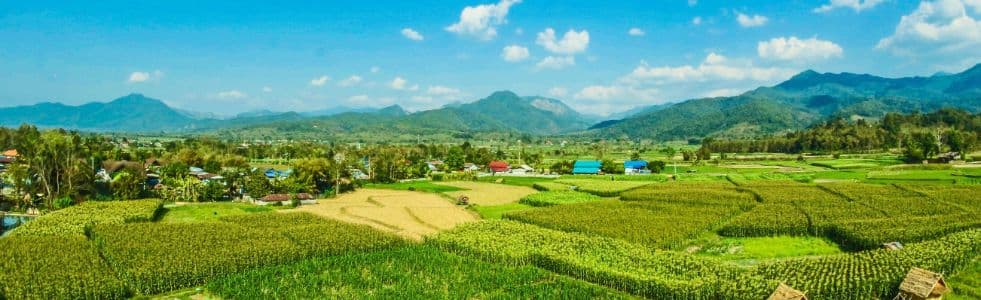 Properties Chiang Mai background image Properties Chiang Mai background image