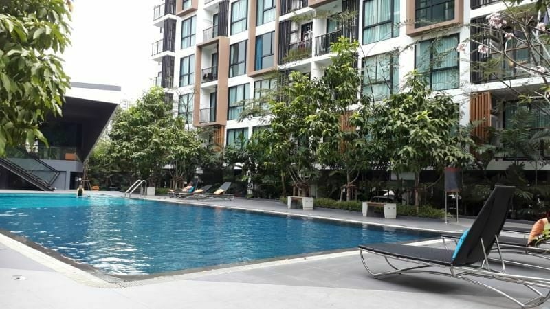 Project Name Zelle Rattanathibet