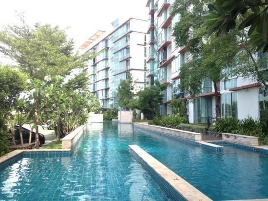 Project Name The Iris