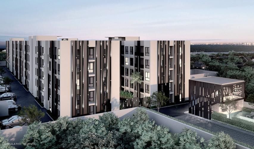 Project Name The Tree Privata