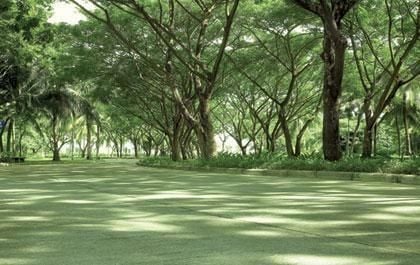 ชื่อโครงการ กรีนไซด์ บาย แสนสิริ