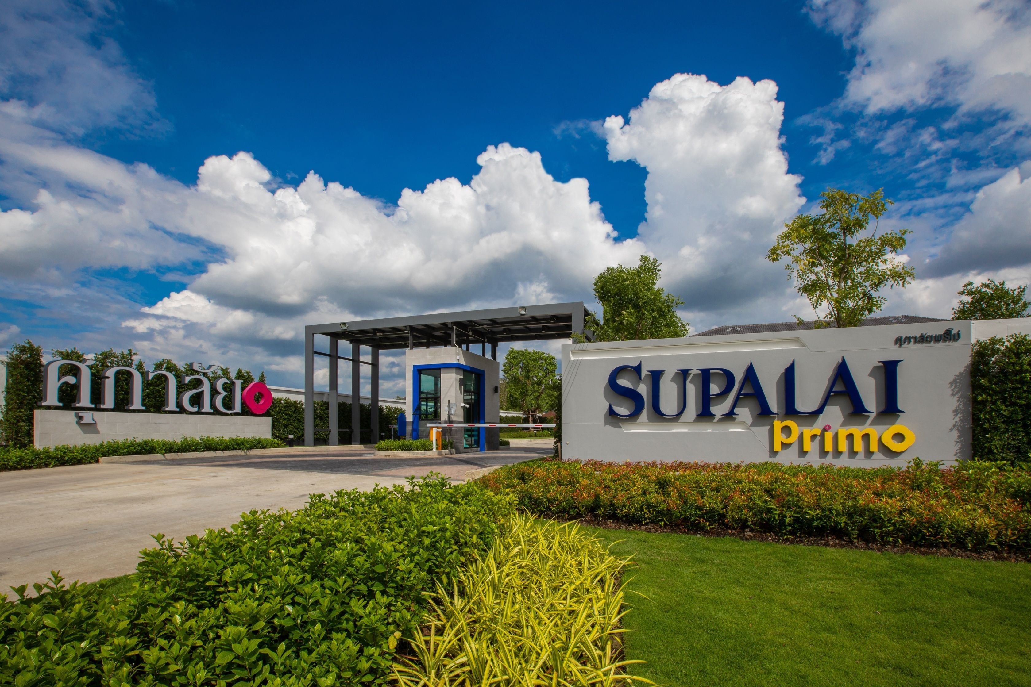 Project Name Supalai Primo Rangsit