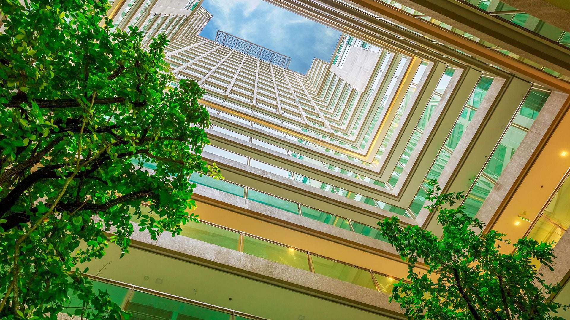 Project Name The Cloud