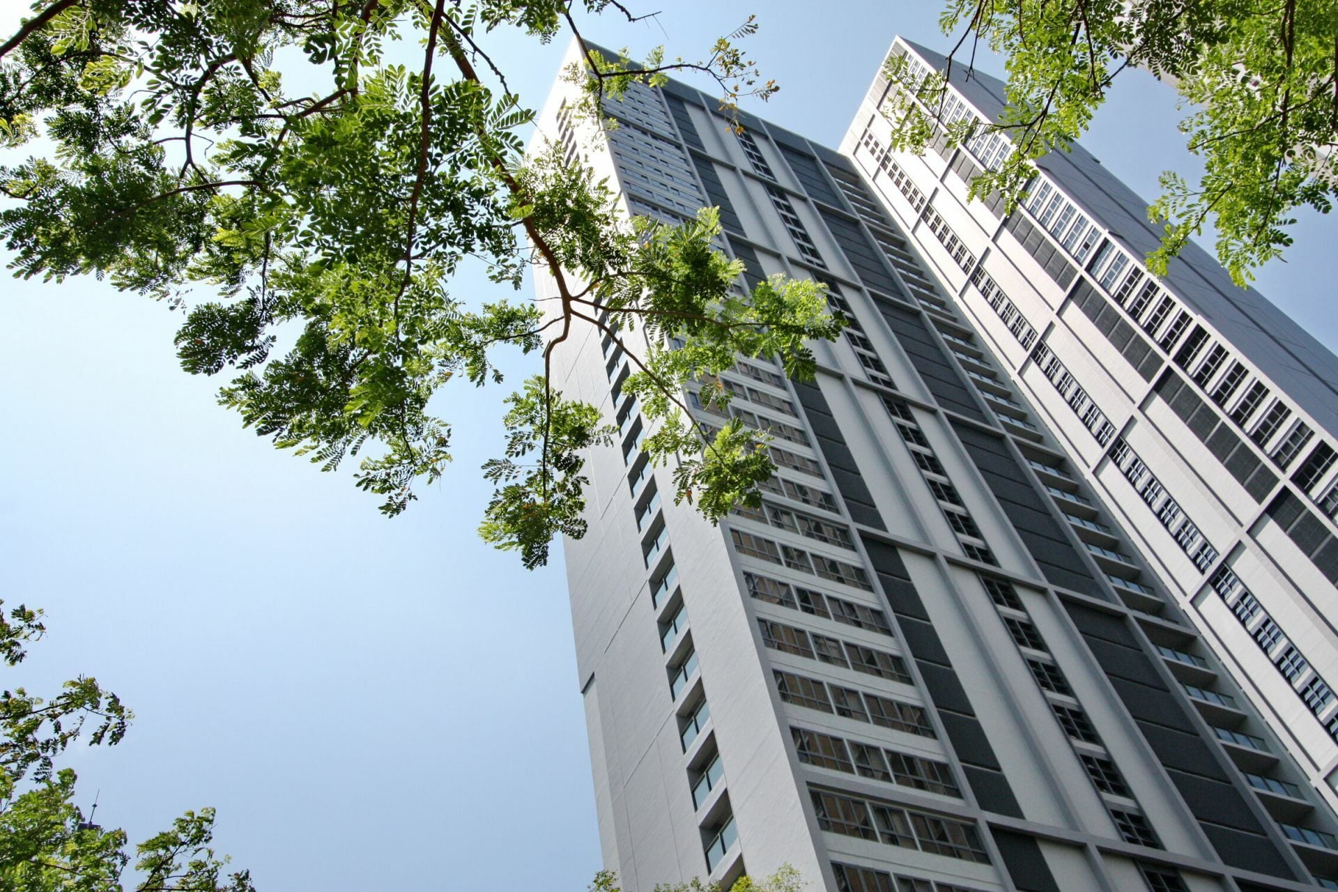 Project Name Zire Wongamat