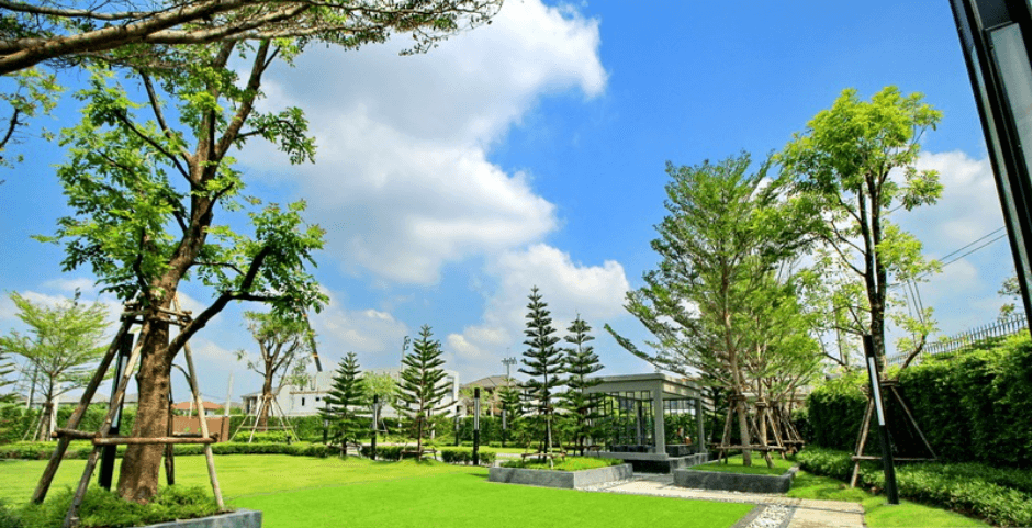 Project Name Passorn Songprapa