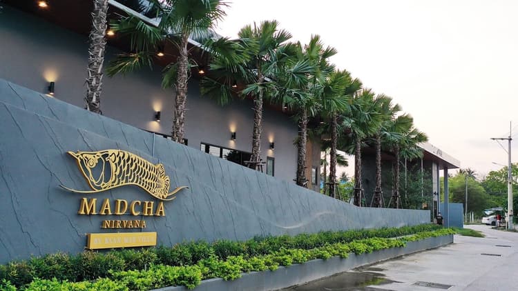 Madcha Nirvana main view