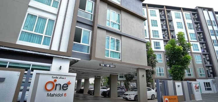 One Plus Mahidol 6 main view