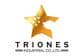 Triones Industrial Co,. Ltd.