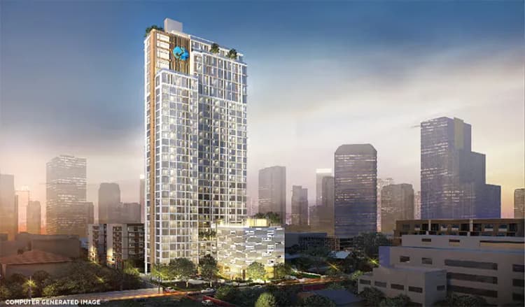 Siamese Exclusive 42 main view