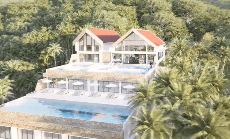 IDA-B DOMAIN main view