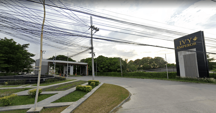 Ivy Emperor main view