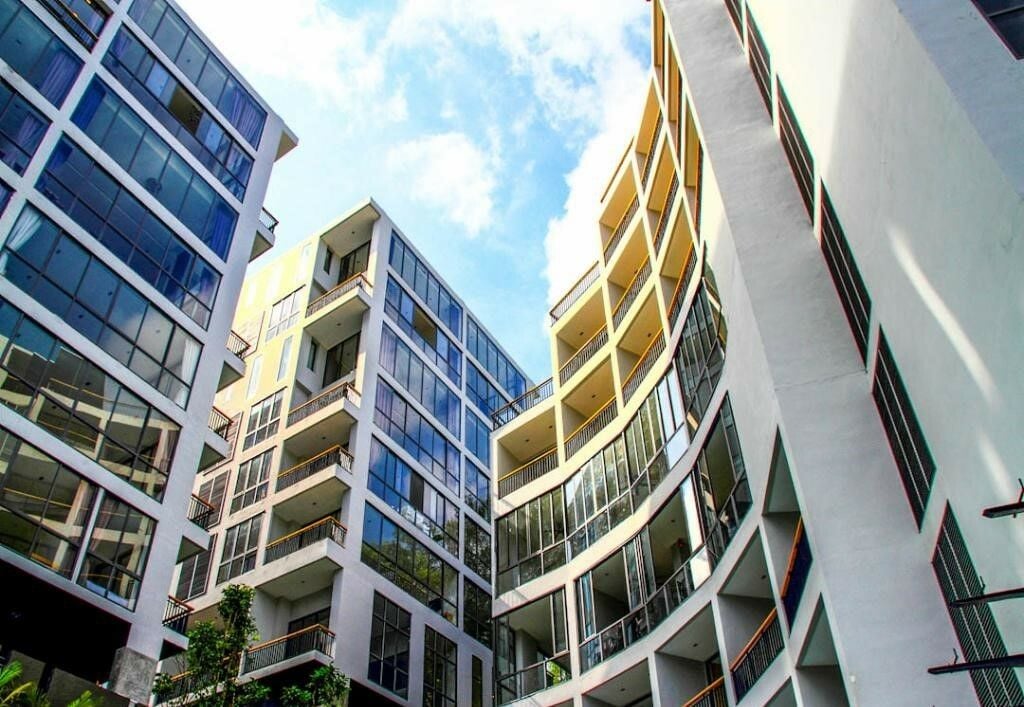 Project Name Icon Park