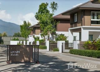 Burasiri San phi suea Chiang Mai main image Burasiri San phi suea Chiang Mai main image