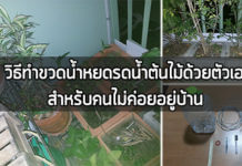 diy ขวดพลาสติก,diy ของใช้ในบ้าน,ขวดพลาสติก รีไซเคิล,ของใช้ในบ้าน,รีไซเคิล ขวดน้ํา,สิ่งประดิษฐ์จากขวดน้ํา